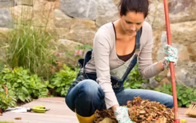 12 TIPS FOR AVOIDING LOW BACK PAIN WHILE RAKING LEAVES