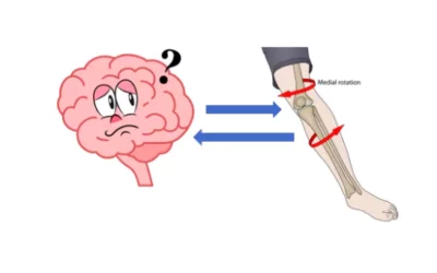 TRAIN THE BRAIN TO PROTECT THE KNEE, ANKLE, AND BRAIN